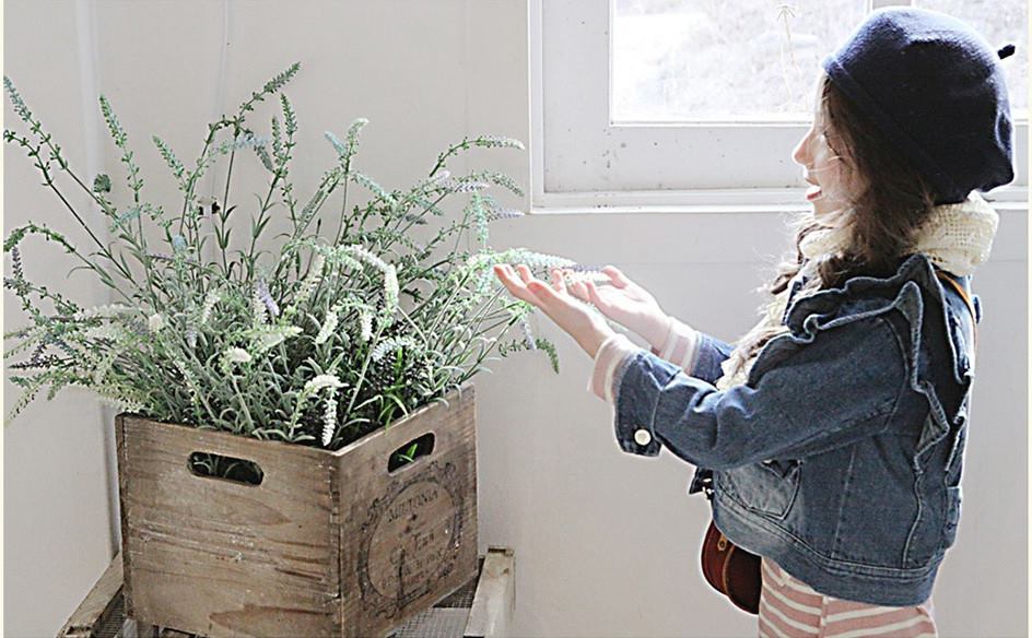 Jacheta cocheta din jeans cu fundita model Fiesta Jacheta cocheta din jeans cu fundita model Fiesta