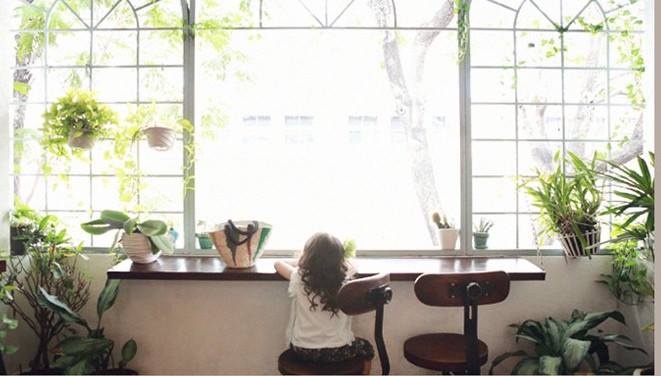 Bluza trendy cu broderie fina aplicata model Caprice 6 Bluza trendy cu broderie fina aplicata model Caprice 6